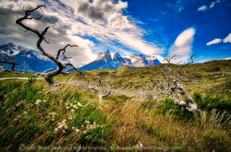 TorresDelPaine-Jan 17 2018-1676