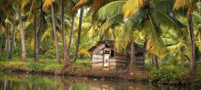 Into the Deep End of India – Part Two – South, Kerala Province Into the Deep End of India – Part Two – South, Kerala Province