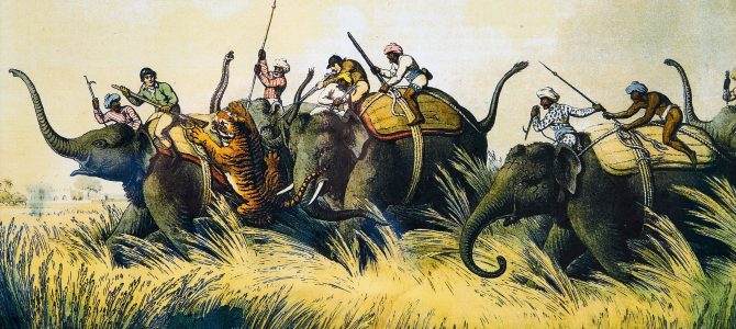 On The Tiger Trail – The Video On The Tiger Trail – The Video