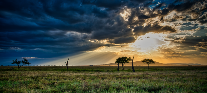 Tanzania Images are Now Available Tanzania Images are Now Available