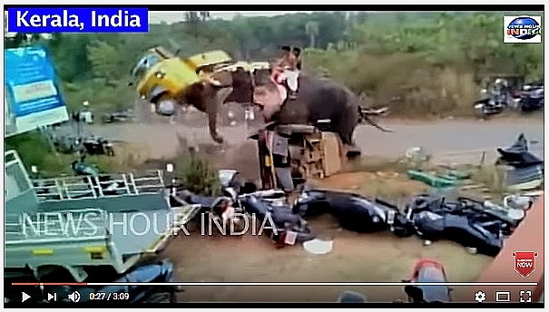 elephantRampage