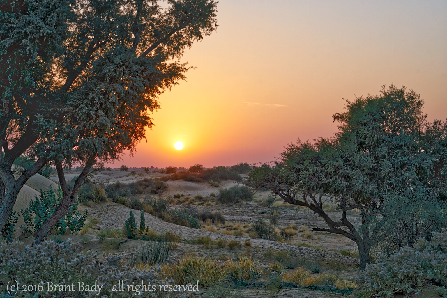 Jaisalmer-Dec 30 2015-2 1