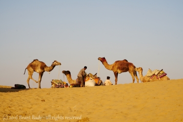 Jaisalmer-Dec 30 2015-4001 1