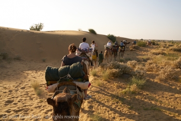 Jaisalmer-Dec 30 2015-4033