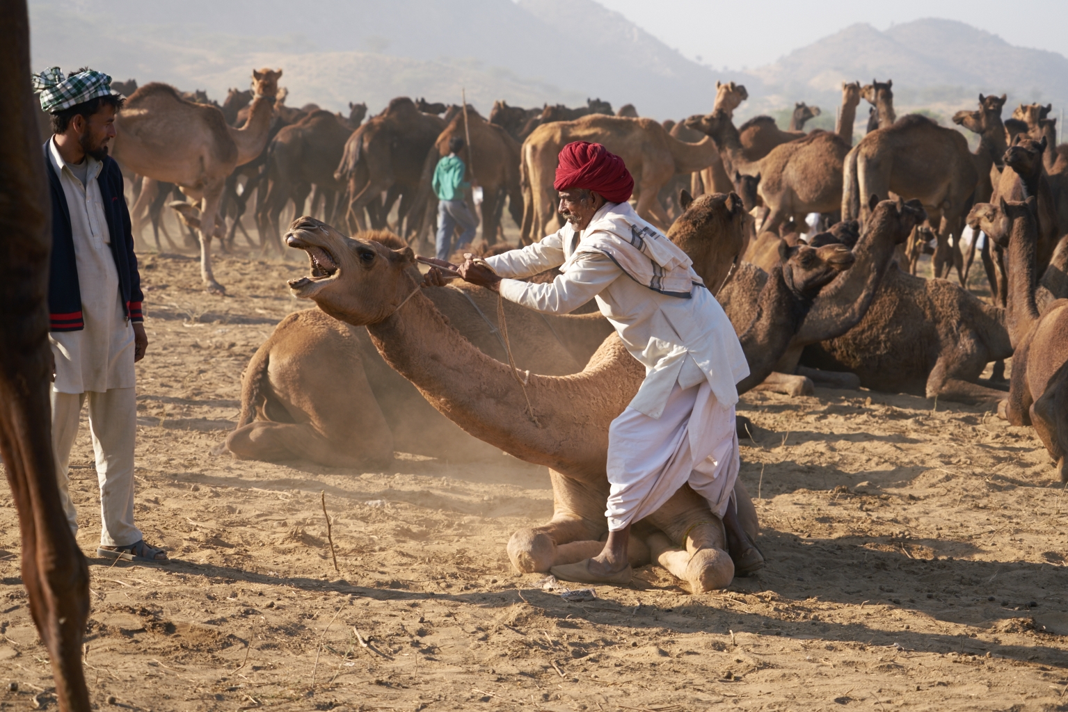 Phuskar-Nov_16_2015-413