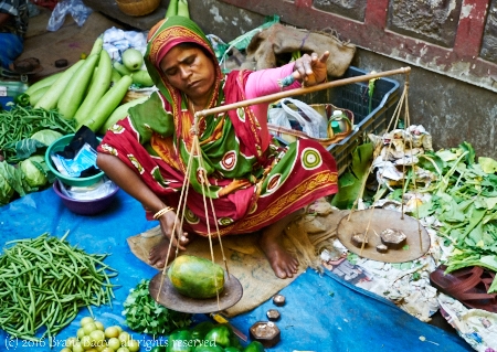 Kolkata-Jan 31 2016-9273