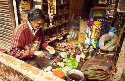 Lucknow-Jan 25 2016-7548