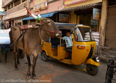Pondicherry-Feb 08 2016-9459
