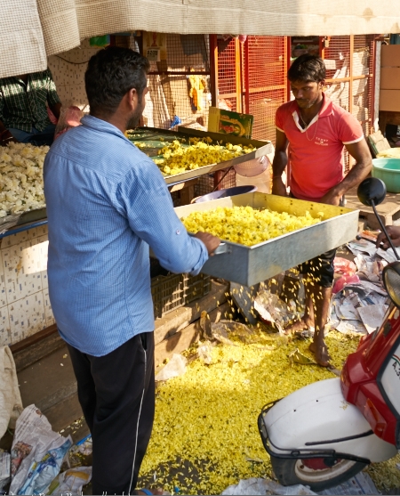 Pondicherry-Feb 08 2016-9470