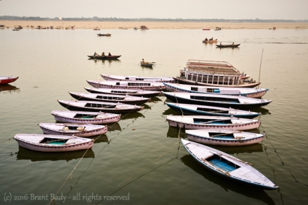 Varanasi-Jan 27 2016-8558