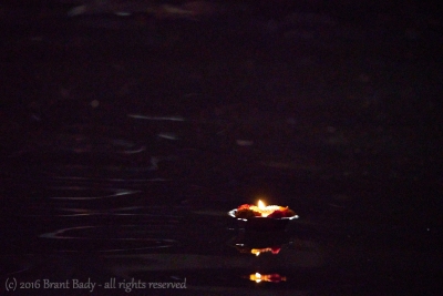 Varanasi-Jan 28 2016-7965