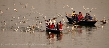 Varanasi-Jan 28 2016-8542