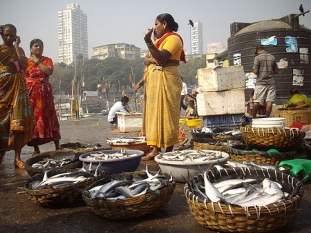 Fish_Auction_at_Sassoon_Docks_in_Mumbai