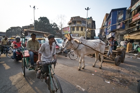 Delhi-Mar 06 2016-11761