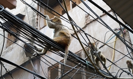Delhi-Mar 06 2016-11778