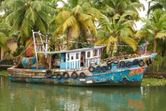 Alleppey-Dec 08 2015-1040