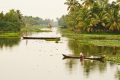 Alleppey-Dec 08 2015-934