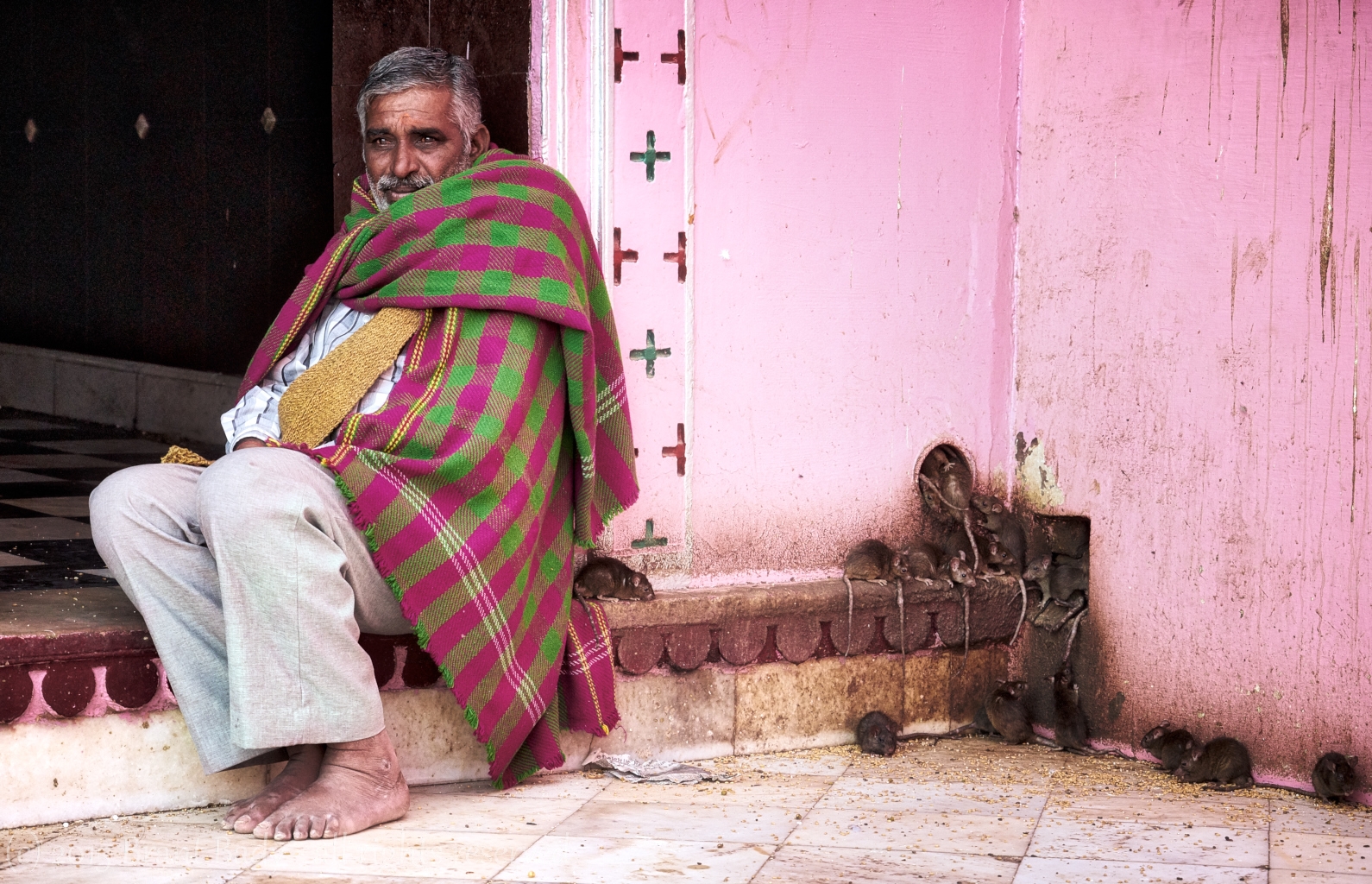 Bikaner-Dec 27 2015-3824
