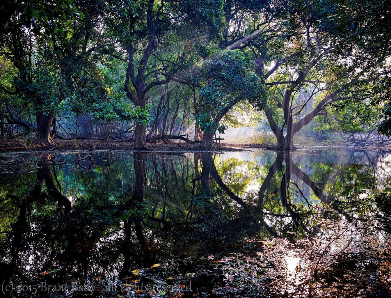 NewDelhi-Dec 12 2015-2592