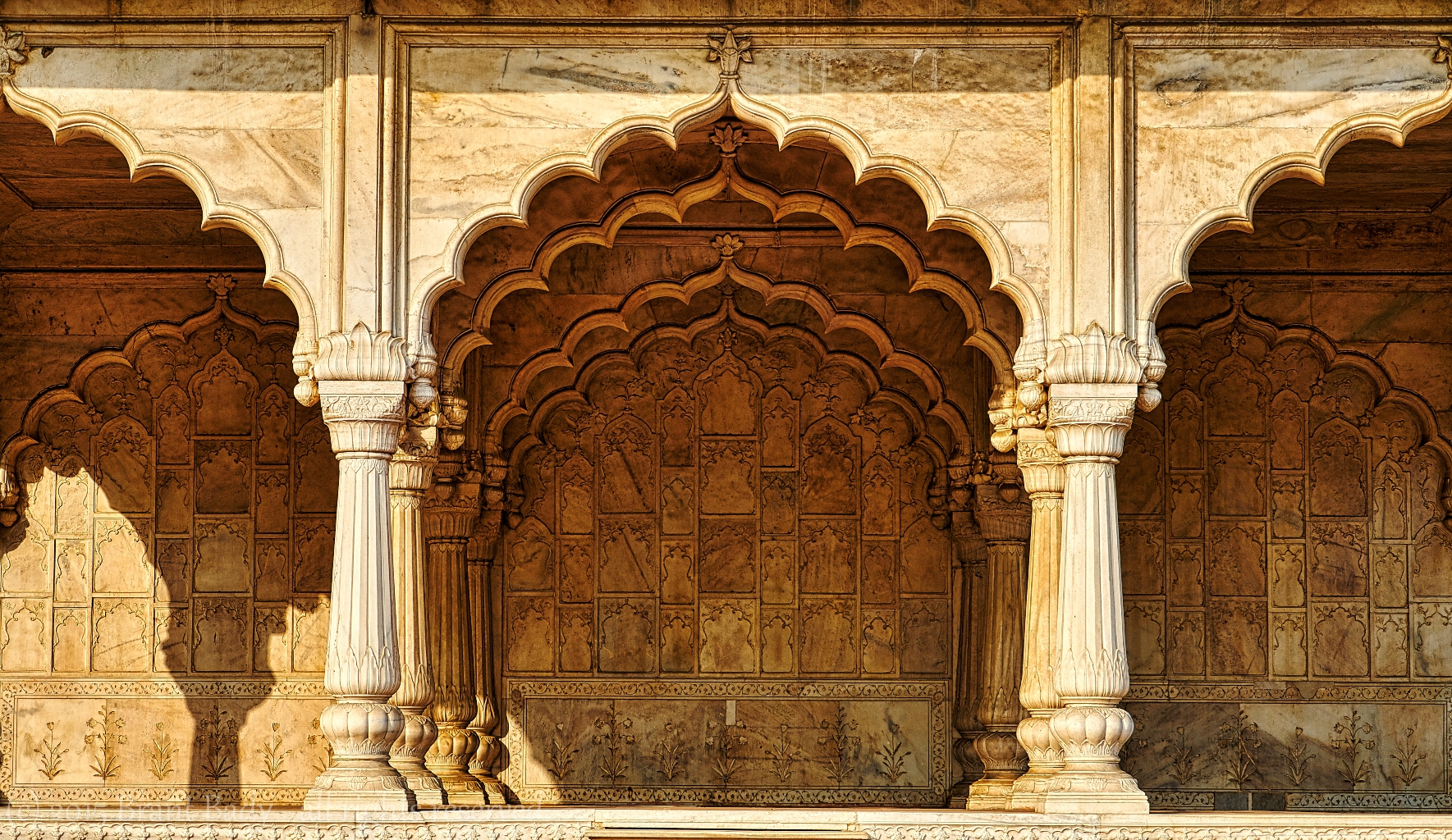 NewDelhi-Dec 16 2015-2593 1