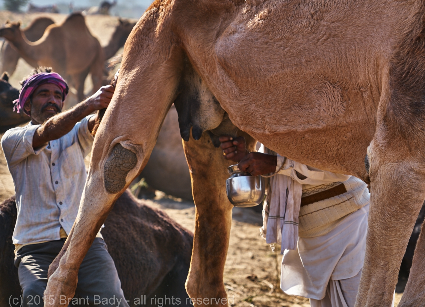 Phuskar-Nov 16 2015-333 1