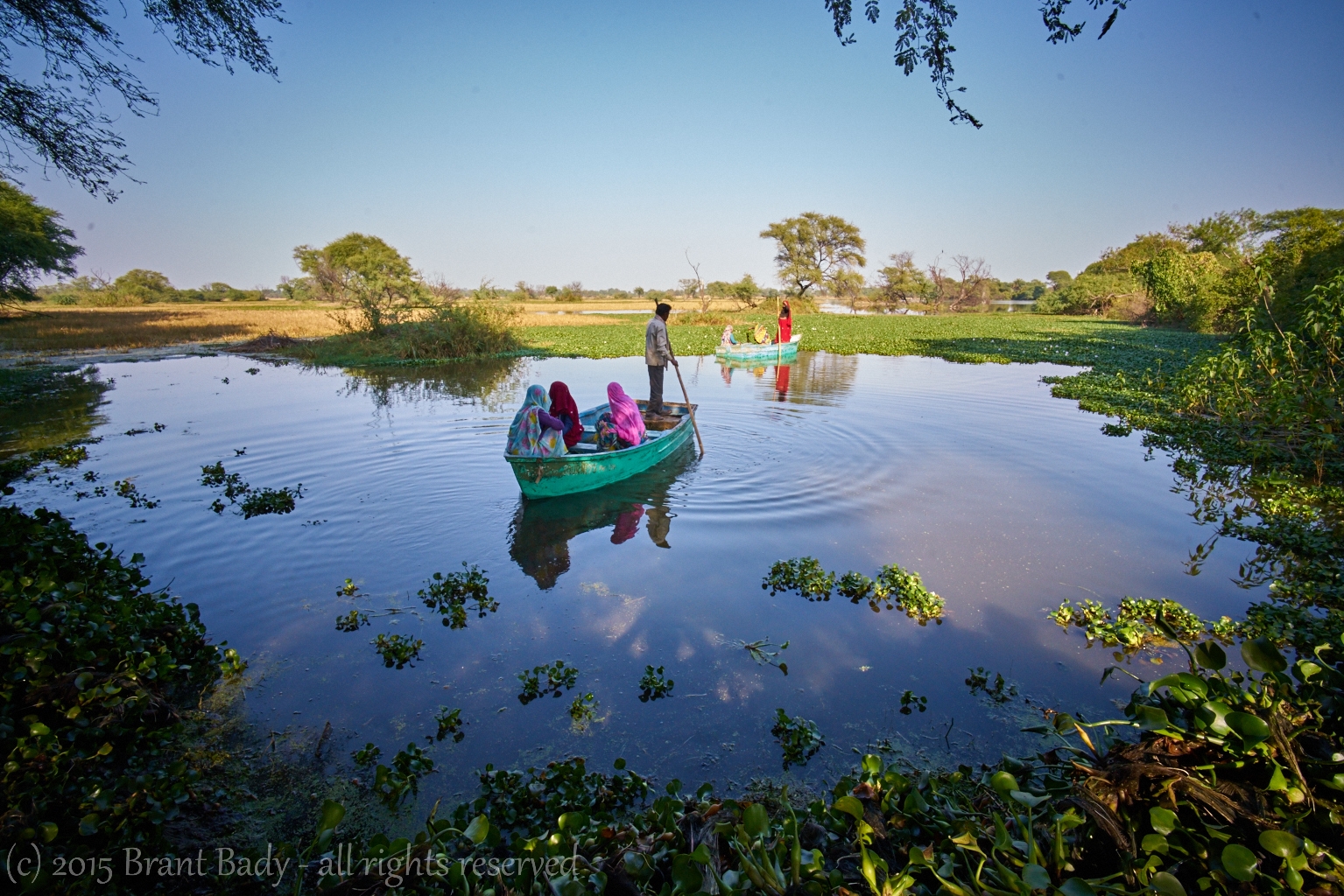 keoladeoNationalPark-Dec 13 2015-2111
