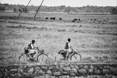 Alleppey-Dec 08 2015-1148 2
