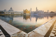Amritsar-Dec 20 2015-3353