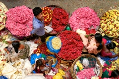 Bengalaru-Feb 11 2016-9723