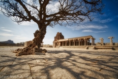 Hampi-Feb 17 2016-10277 4