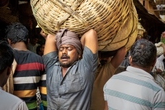 Kolkata-Feb 01 2016-9291 2