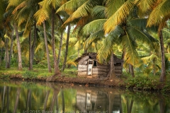 Kollam-Dec 07 2015-919