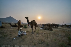 Phuskar-Nov 16 2015-107