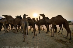 Phuskar-Nov 16 2015-94 2