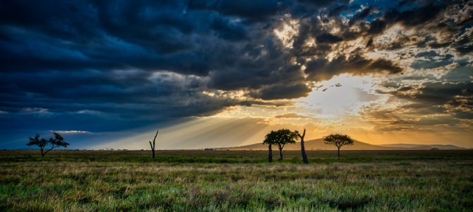 Tanzania Images are Now Available